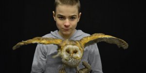 Bild c by Peter Empl