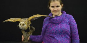 Bild c by Peter Empl