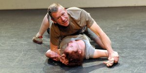 Dingos c by Thomas Tröster