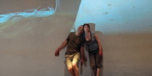 Dingos c by Thomas Tröster