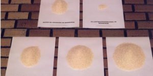 Of all the people in all the world