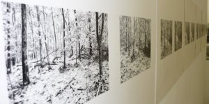 Ein erster Blick in die Ausstellung