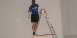 Freiwilligentag 2012