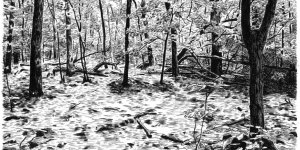 Conor Stechschulte by Talking Territories 19.01.2013-17.02.2013