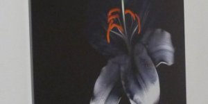 Schönste Staubgefäße - Fotografie von Ina Grützbach