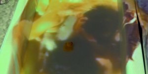 Herren im Bad mal anders - "Bath" Installation von Aksel Jaatinen